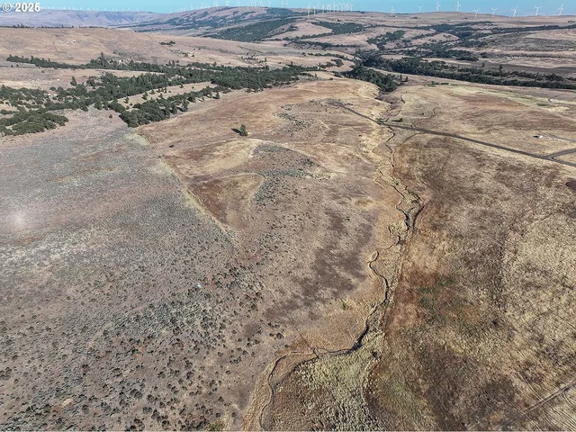 a view of an ocean beach