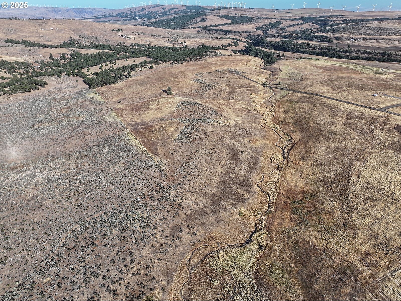 Lightening Lane Goldendale, WA 98620 - Photo 26 of 37 a view of outdoor space with mountain view