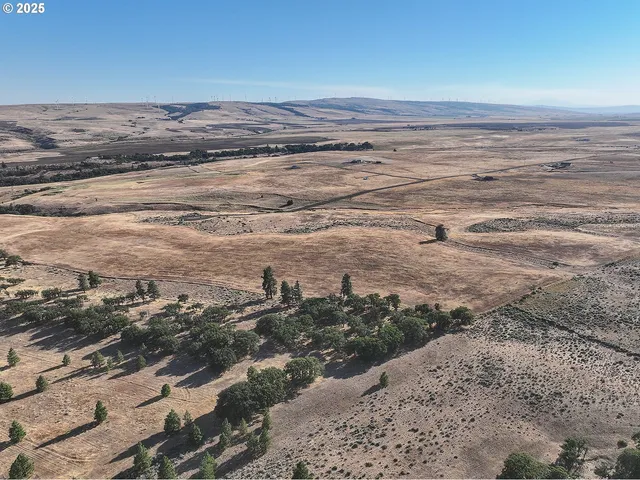 a view of an ocean beach