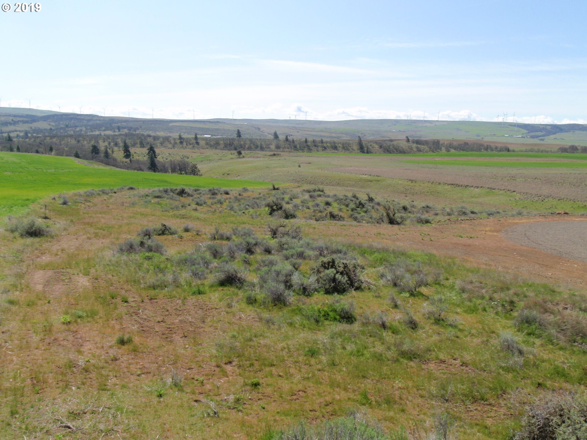 Lightening Lane Goldendale, WA 98620 - Photo 8 of 37 a view of an outdoor space with a lake view