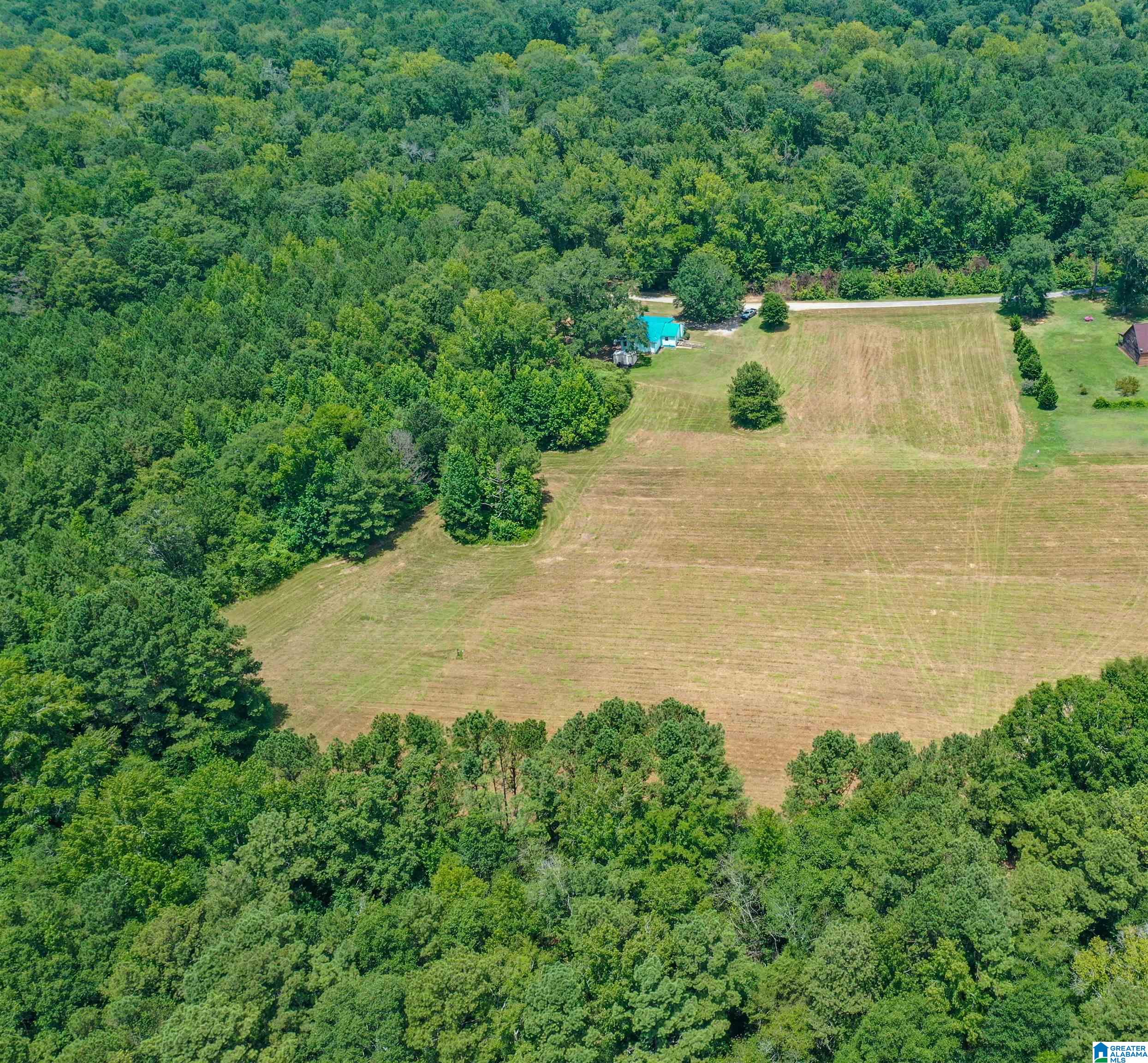 1675 Blue Eye Springs Road Lincoln, AL 35096 - Photo 54 of 60