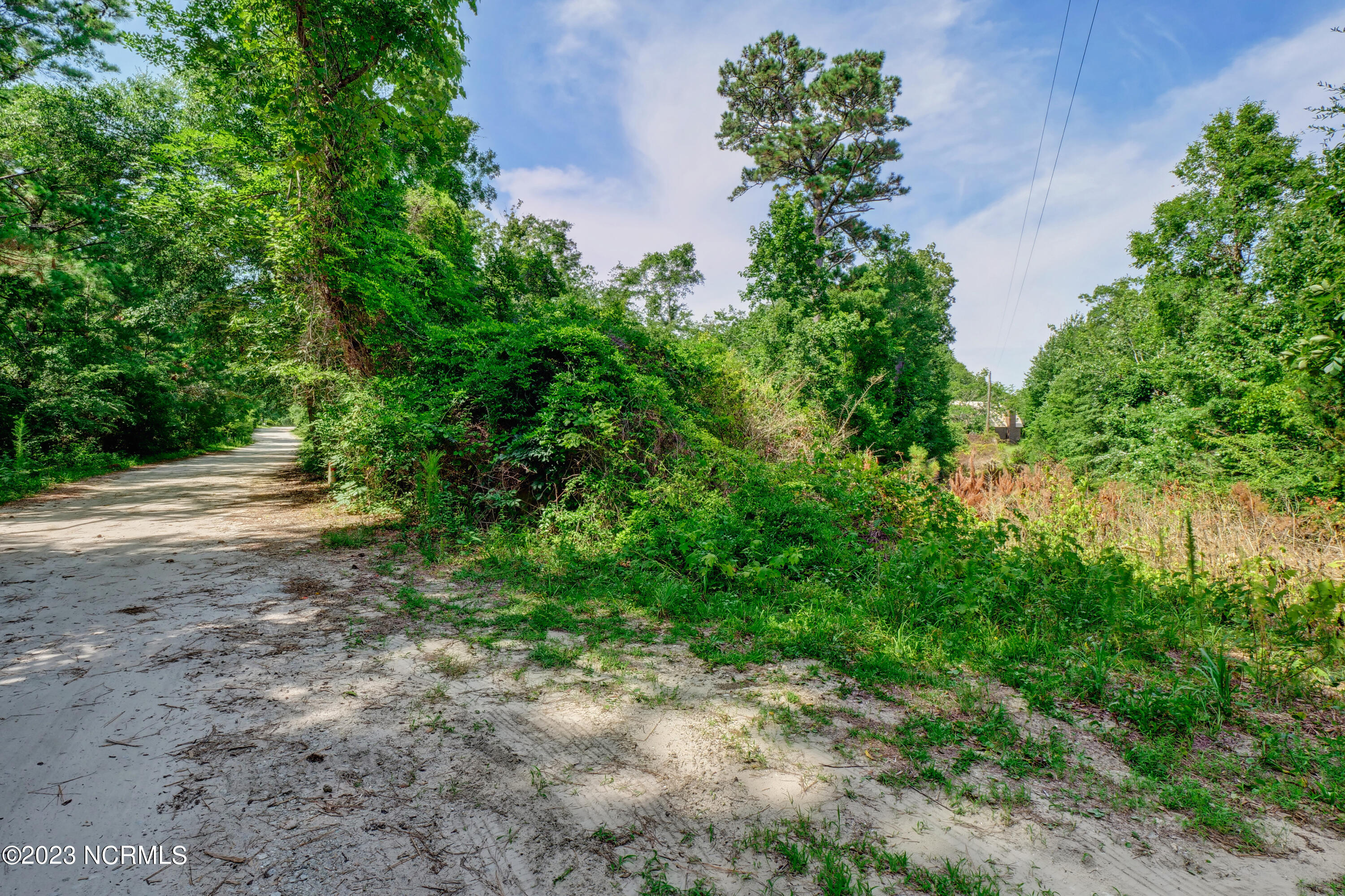 118 Riley Lewis Road Sneads Ferry, NC 28460 - Photo 1 of 16 P1122672_3_4_5_6