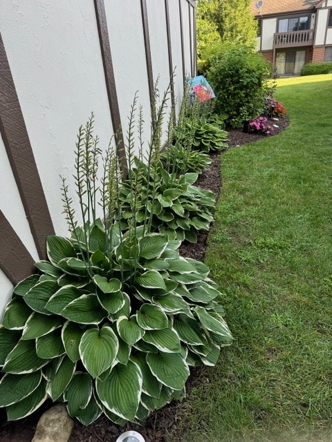 1256 Plum Tree Court, Unit D1 Schaumburg, IL 60193 - Photo 30 of 40 a view of a garden with plants