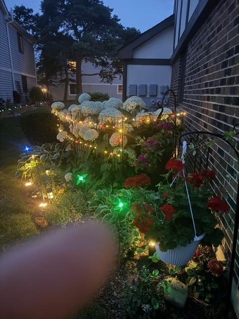 1256 Plum Tree Court, Unit D1 Schaumburg, IL 60193 - Photo 32 of 40 a view of a backyard of the house