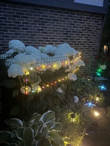 $299,900 | 1256 Plum Tree Court, Unit D1, Schaumburg, IL 60193