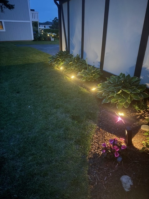 1256 Plum Tree Court, Unit D1 Schaumburg, IL 60193 - Photo 34 of 40 a view of a yard