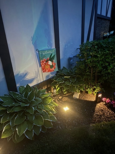 1256 Plum Tree Court, Unit D1 Schaumburg, IL 60193 - Photo 35 of 40 a view of a flower in a garden