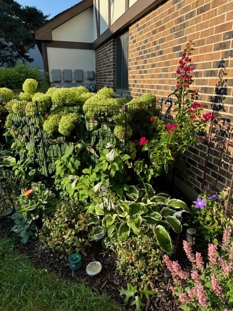 1256 Plum Tree Court, Unit D1 Schaumburg, IL 60193 - Photo 36 of 40 a plant that is in front of flowers