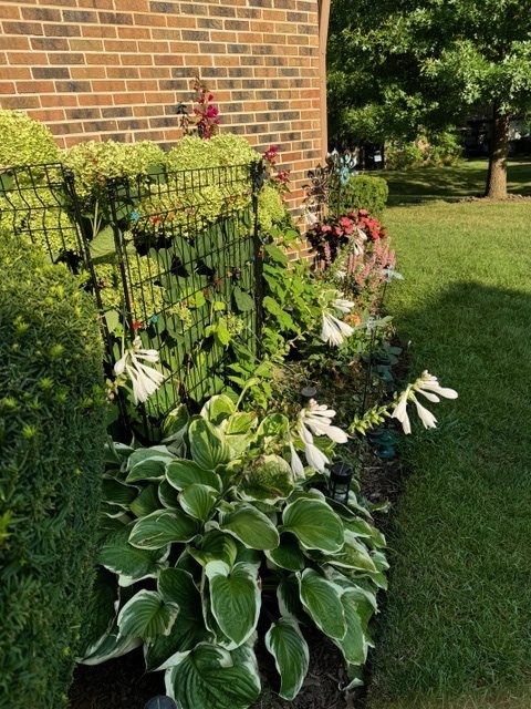 1256 Plum Tree Court, Unit D1 Schaumburg, IL 60193 - Photo 37 of 40 a view of a garden
