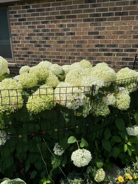 1256 Plum Tree Court, Unit D1 Schaumburg, IL 60193 - Photo 38 of 40 a view of a backyard of the house