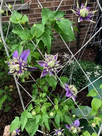 $299,900 | 1256 Plum Tree Court, Unit D1, Schaumburg, IL 60193