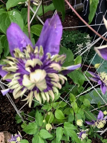 $299,900 | 1256 Plum Tree Court, Unit D1, Schaumburg, IL 60193