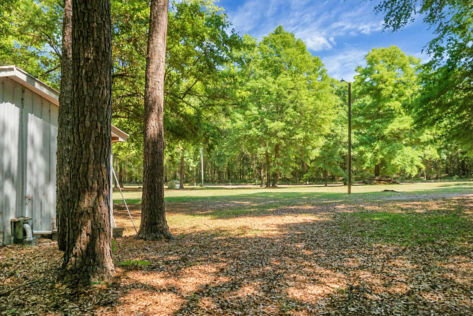 1307 Cooper Lane Summerton, SC 29148 - Photo 12 of 17 DSC08631
