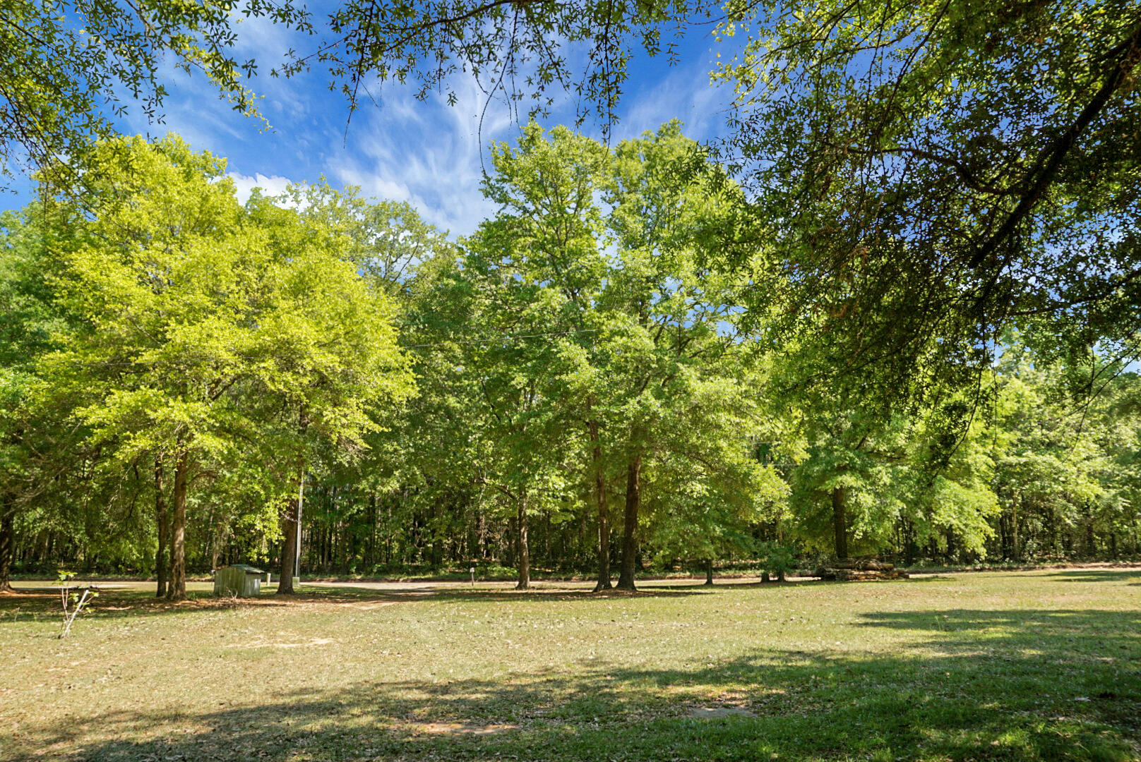 1307 Cooper Lane Summerton, SC 29148 - Photo 5 of 17 DSC08685
