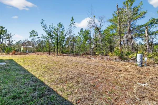a view of outdoor space with trees