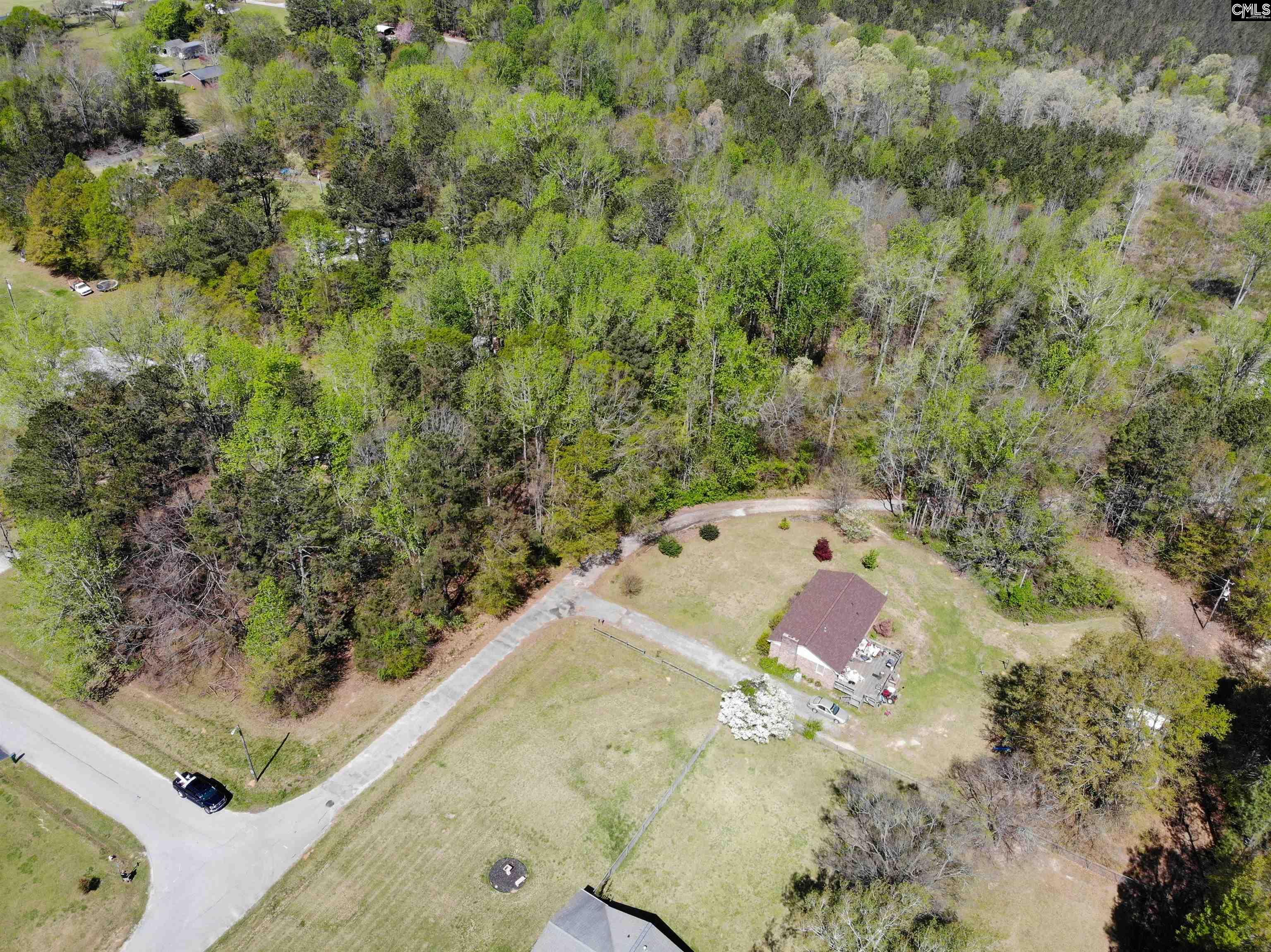 Tbd James Road Joanna, SC 29351 - Photo 46 of 82