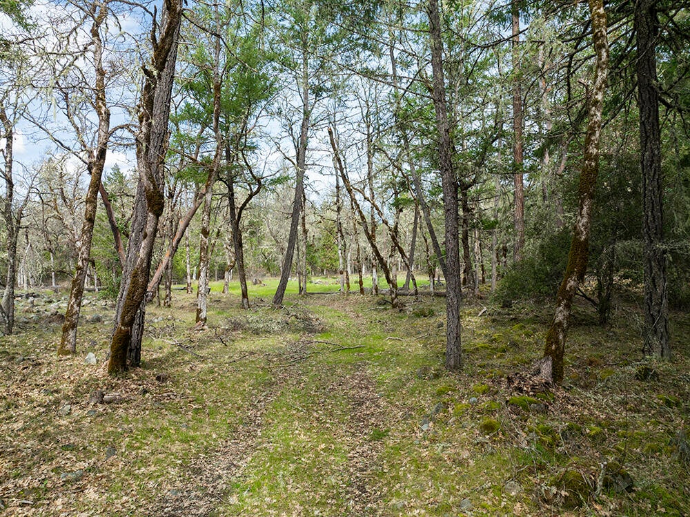 15150 Water Gap Road Williams, OR 97544 - Photo 15 of 53 18