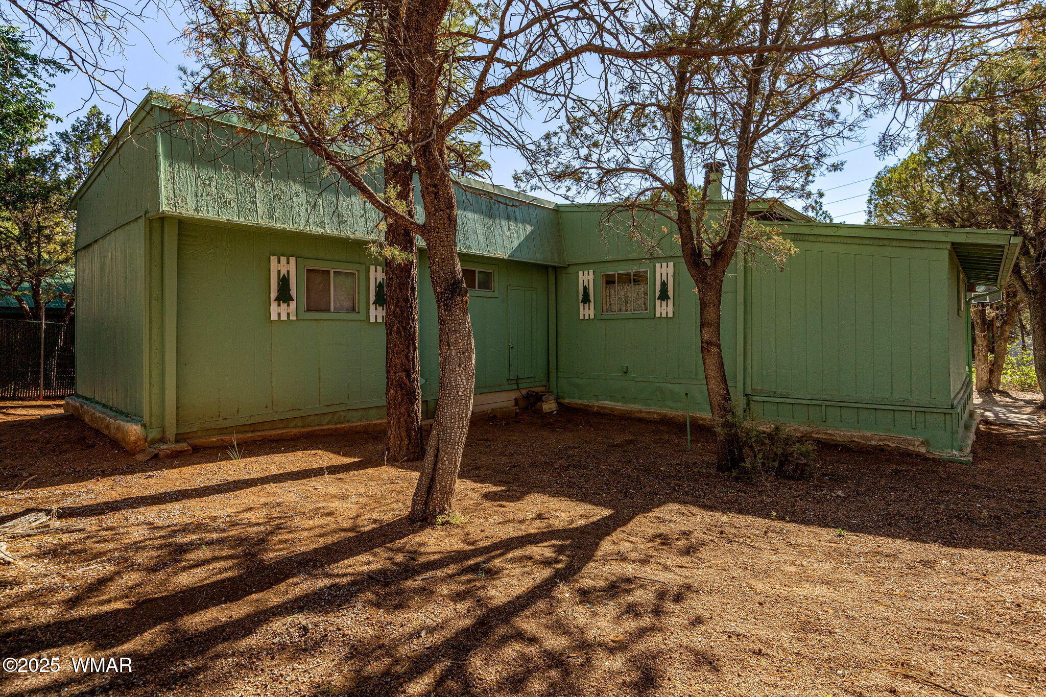 2888 Dale Road Overgaard, AZ 85933 - Photo 20 of 31 a backyard of a house