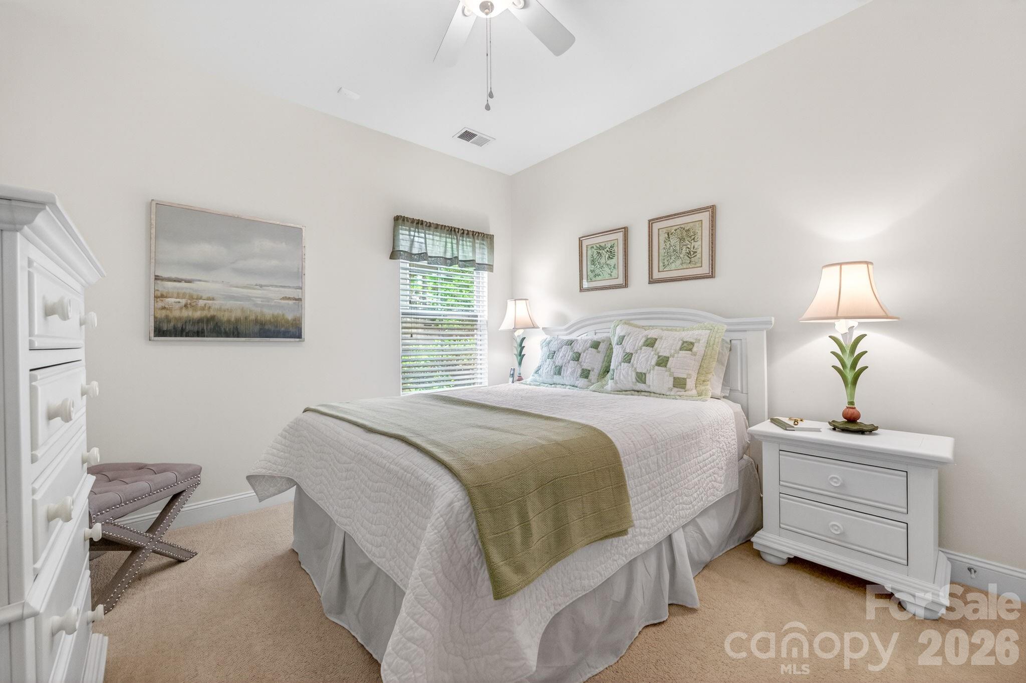 321 Calming Way Tega Cay, SC 29708 - Photo 28 of 48