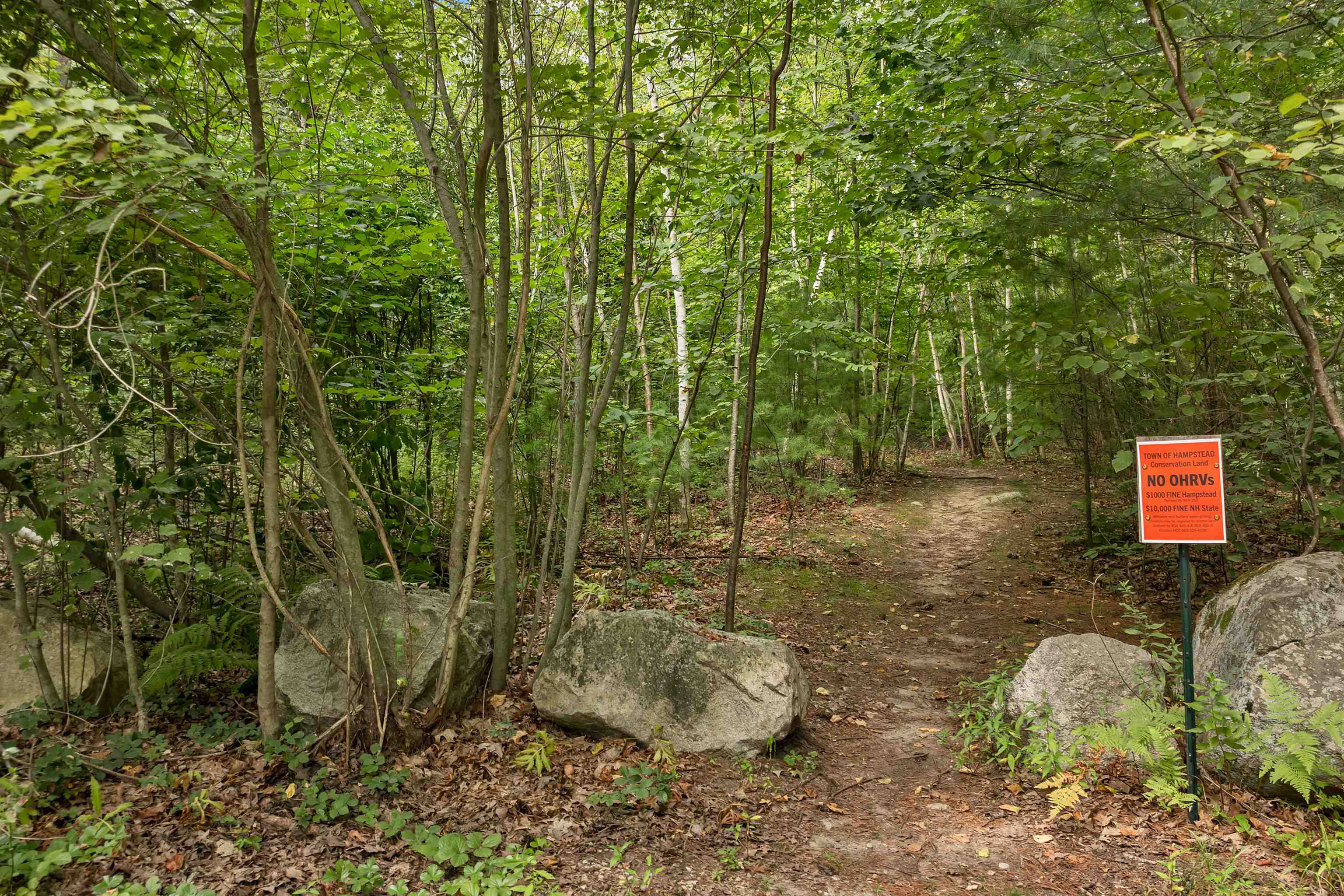 27 Collette Drive Hampstead, NH 03841 - Photo 12 of 41