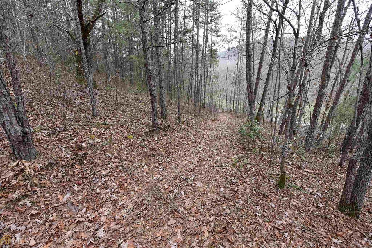 0 Hawksclaw Road, Unit 8 91 ACRES Morganton, GA 30560 - Photo 1 of 1 Gallery Image 1