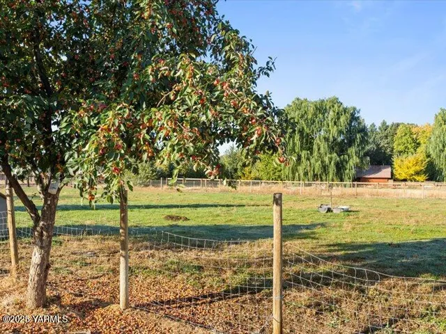 a view of a terrace with skyline