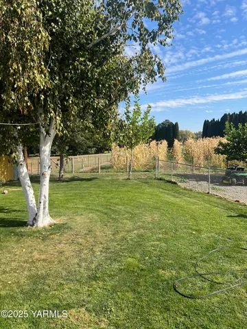 a view of a back yard of the house