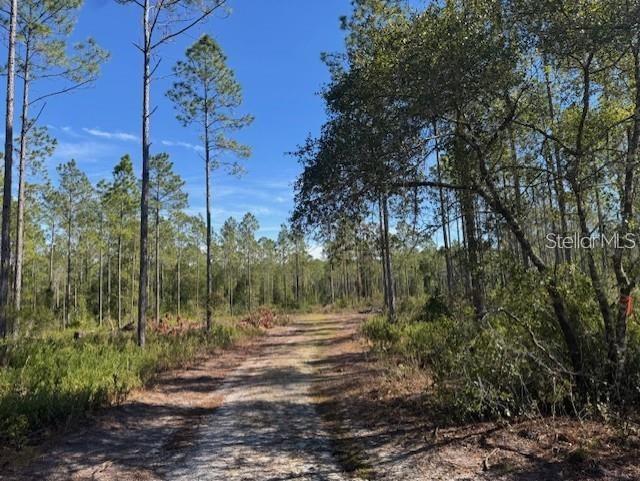 Northeast 150th Avenue Road Fort McCoy, FL 32134 - Photo 13 of 48 Gallery Image 13
