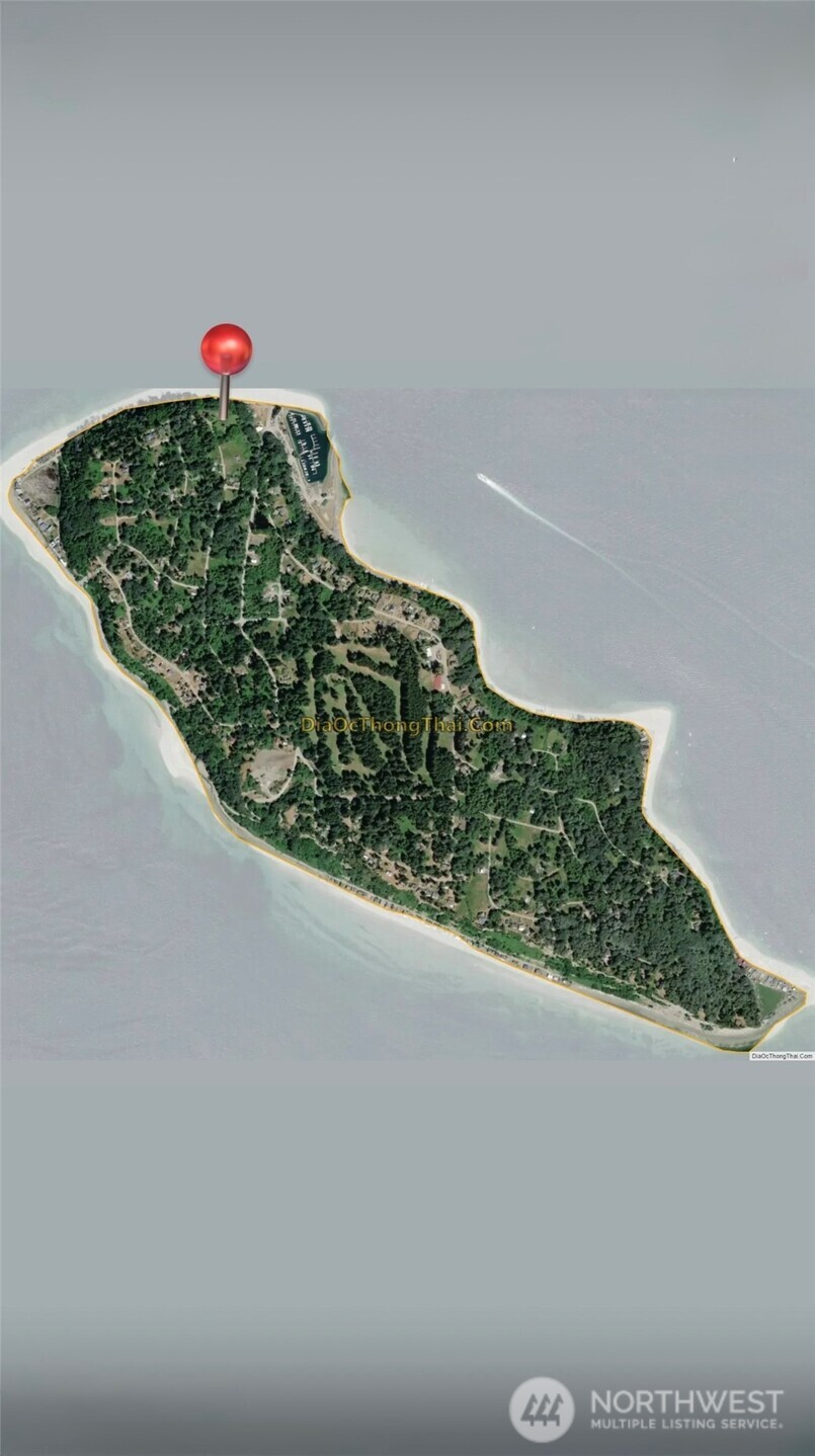 26 E Port Everett, WA 98201 - Photo 2 of 33 a close up of a plant in a garden