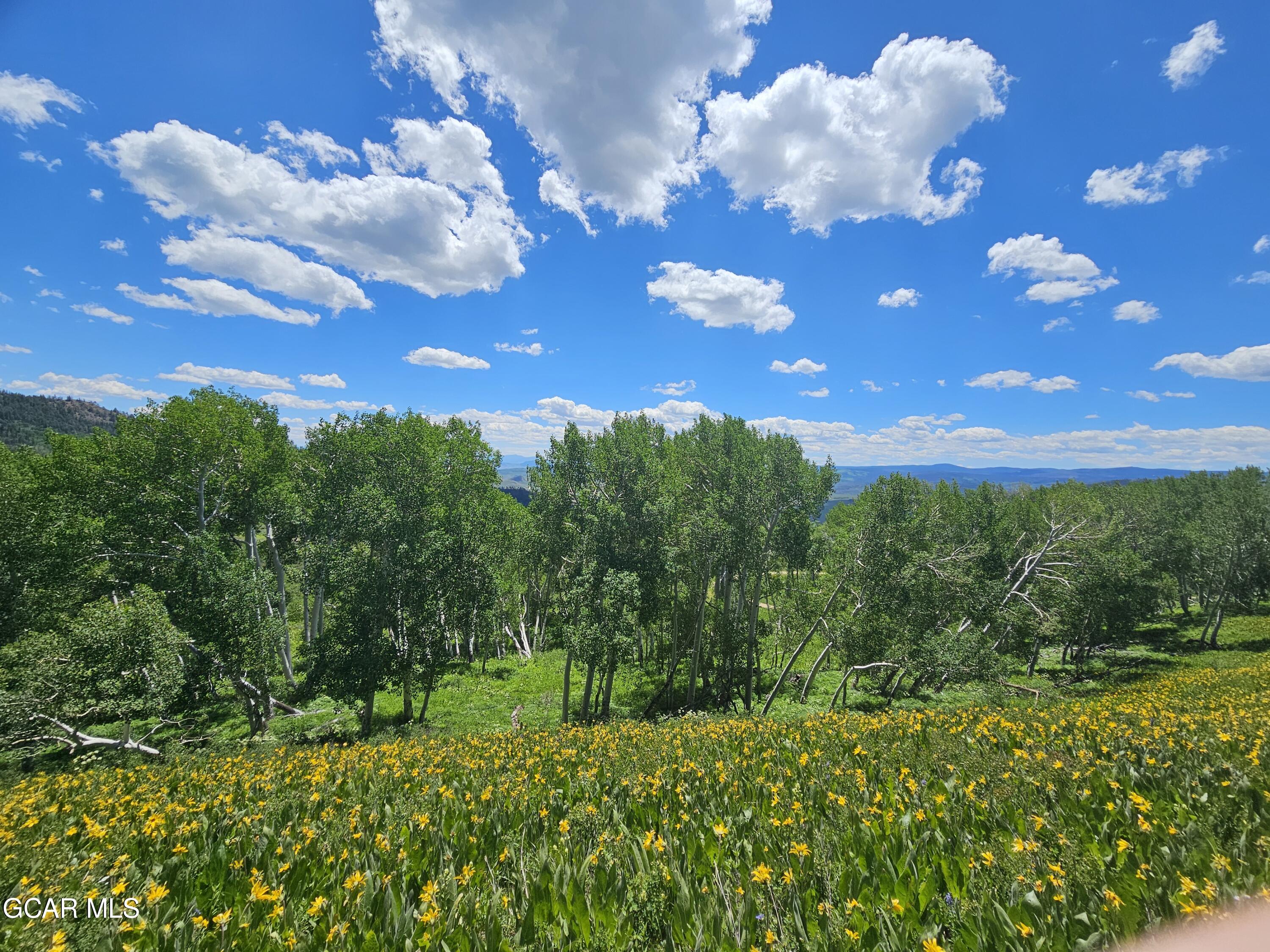 520 Gcr 284 Kremmling, CO 80459 - Photo 8 of 14 a view of a bunch of flowers
