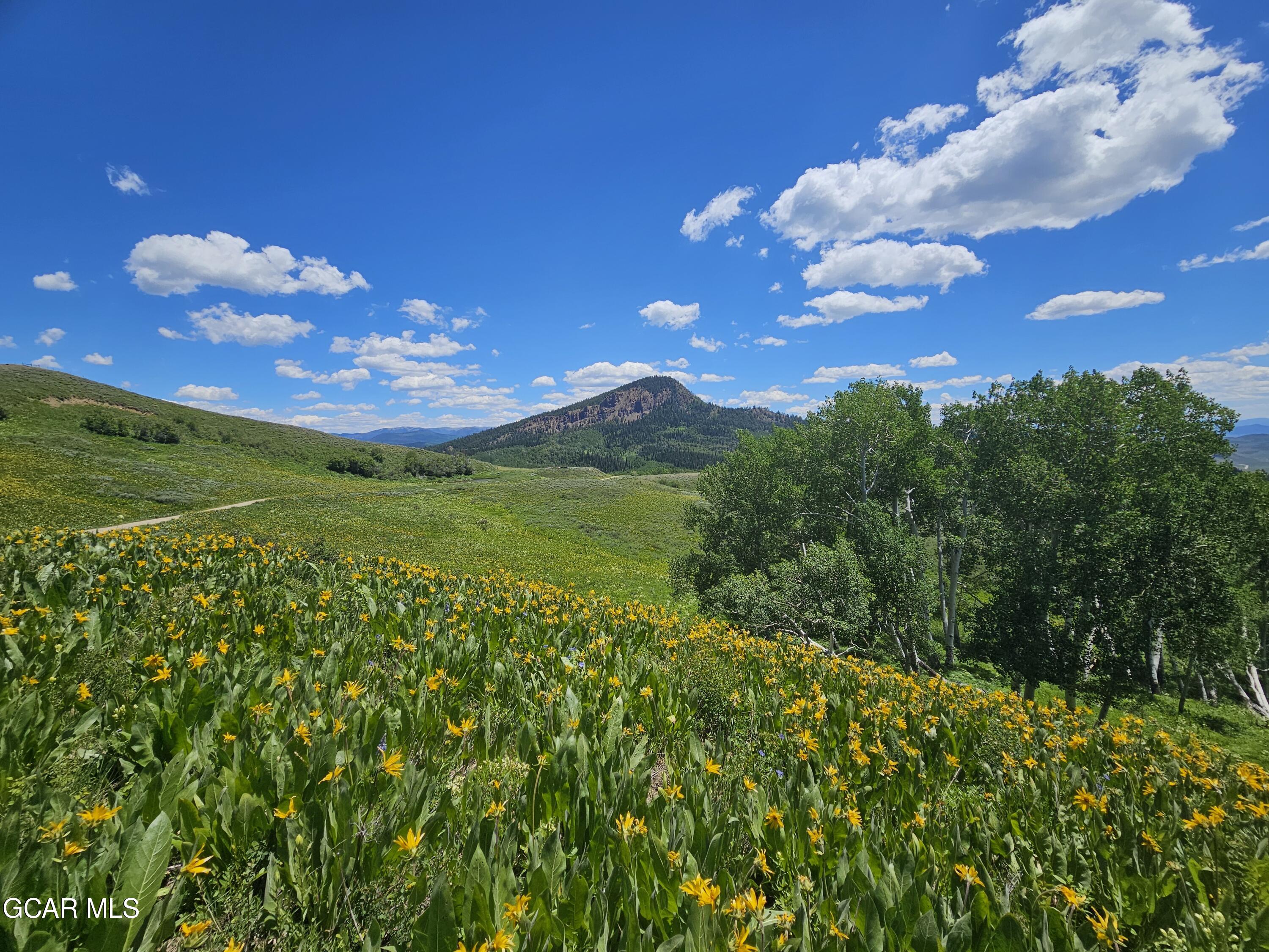 520 Gcr 284 Kremmling, CO 80459 - Photo 9 of 14 a view of a big yard with large trees