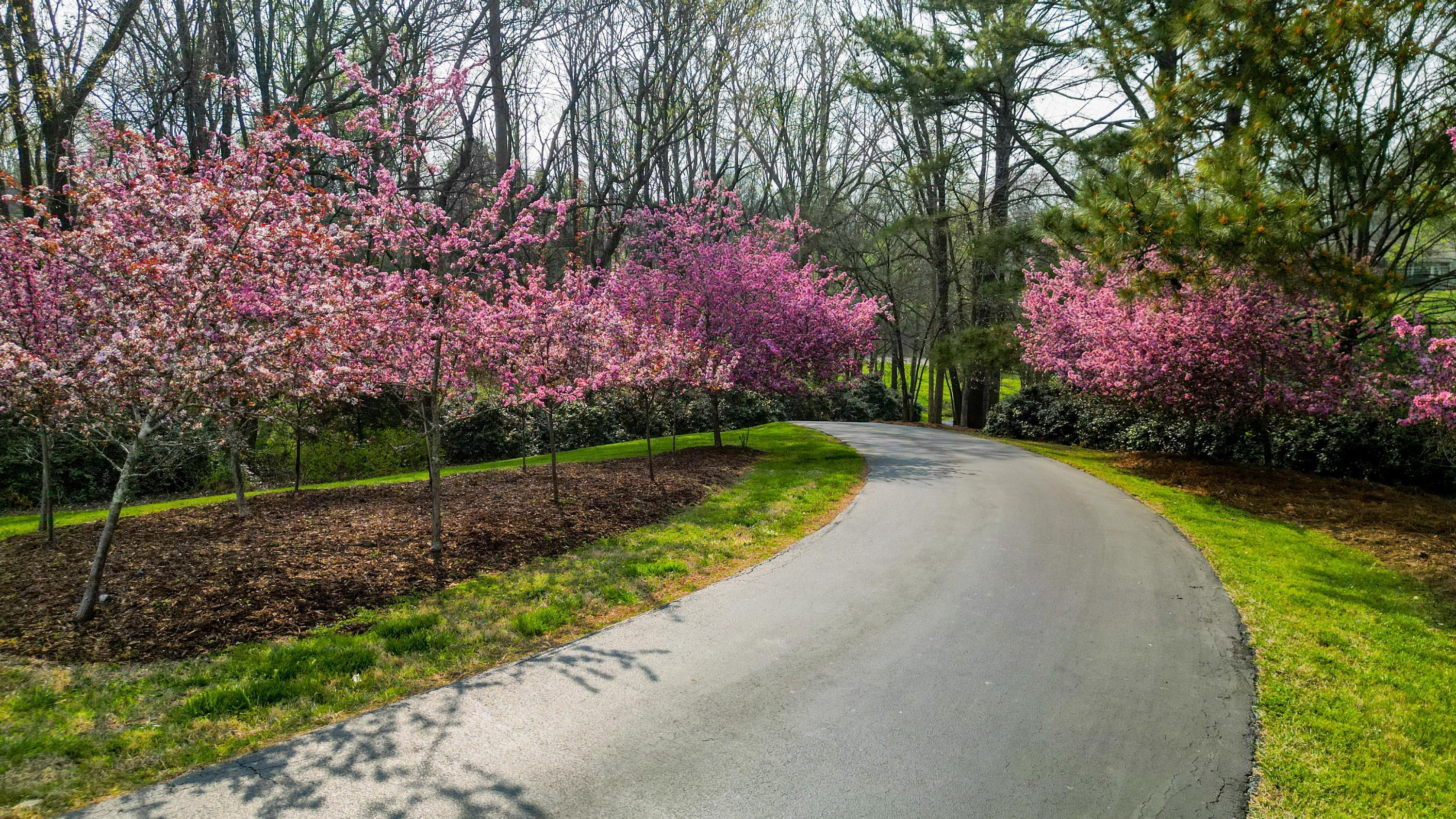 1025 Cedar Springs Road Athens, TN 37303 - Photo 12 of 103 Driveway