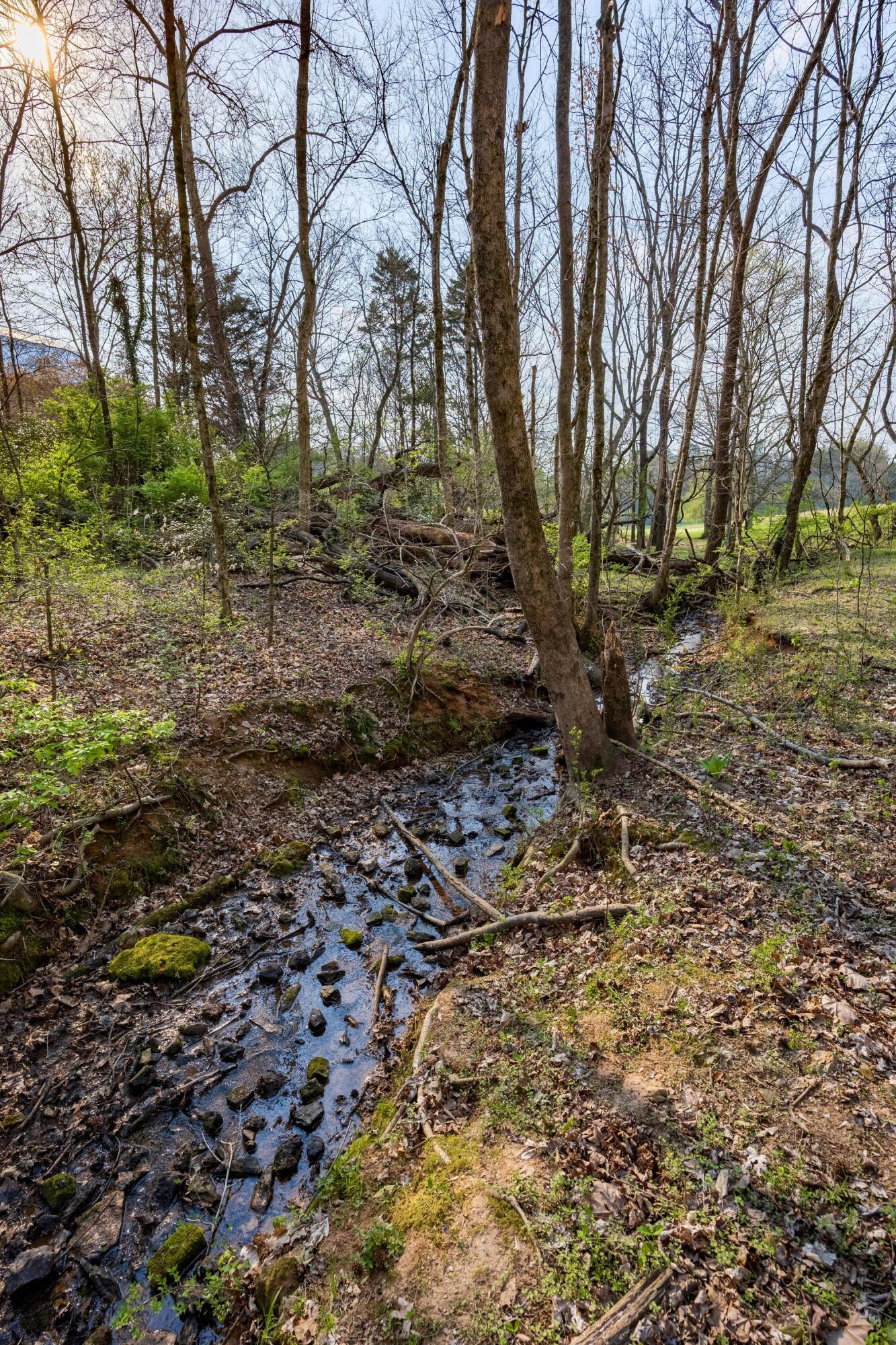 1025 Cedar Springs Road Athens, TN 37303 - Photo 34 of 103 Steam