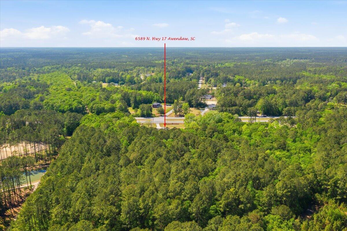 6589 North Highway 17 Awendaw, SC 29429 - Photo 58 of 64 61-DJI_0568 copy