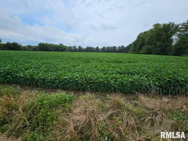 $75,000 | 0 East Bethel Road, Mount Vernon, IL 62864