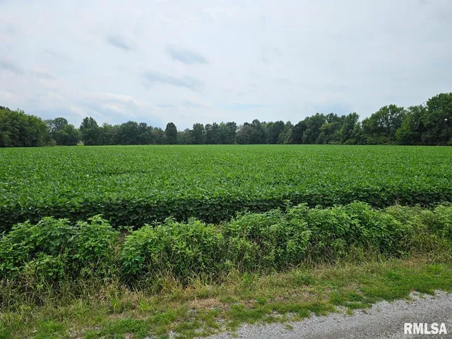 $75,000 | 0 East Bethel Road, Mount Vernon, IL 62864