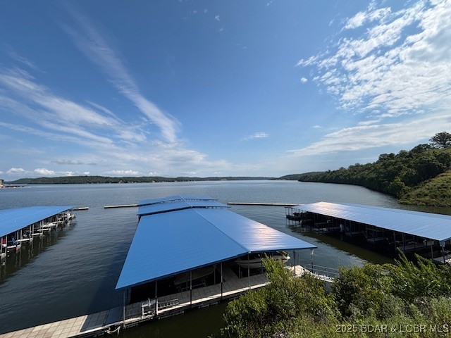 100 Trinity Pointe Drive, Unit 2L Camdenton, MO 65020 - Photo 2 of 43 31 mm Main Channel Views