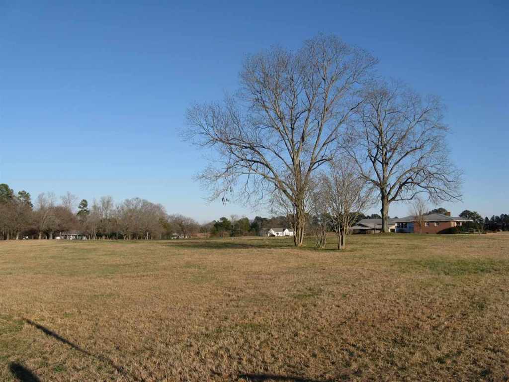 Tract A Lowe Road Belton, SC 29627 - Photo 1 of 6