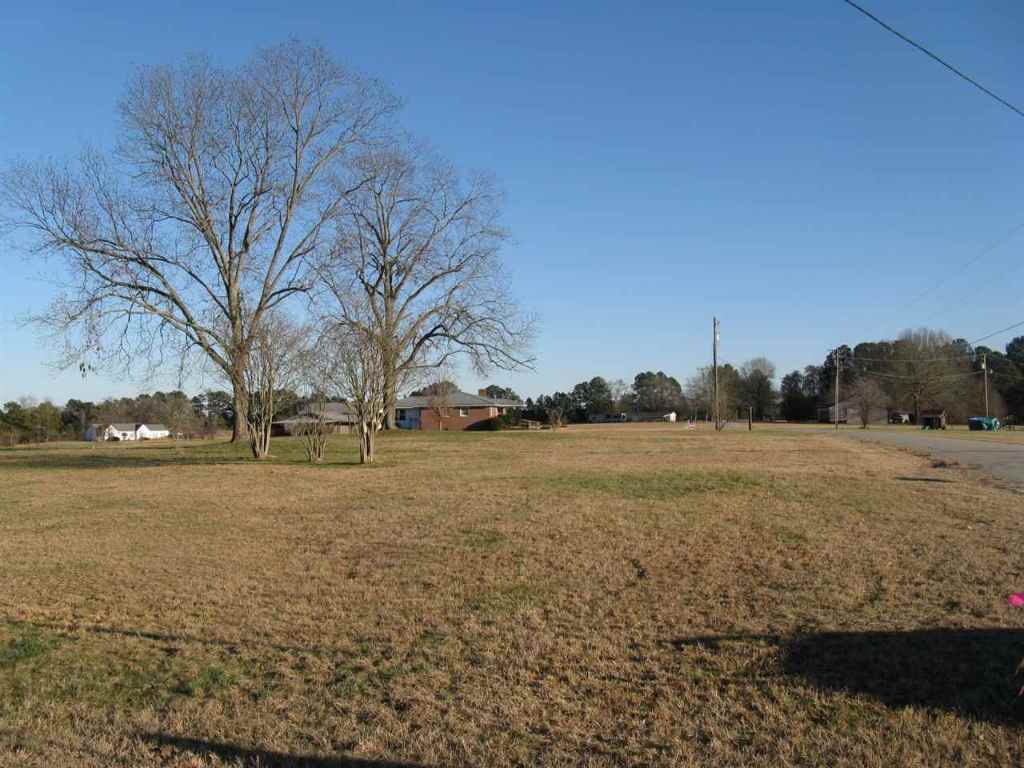 Tract A Lowe Road Belton, SC 29627 - Photo 2 of 6
