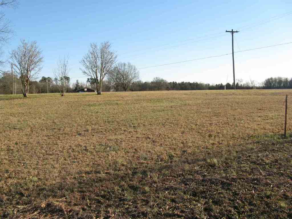 Tract A Lowe Road Belton, SC 29627 - Photo 3 of 6