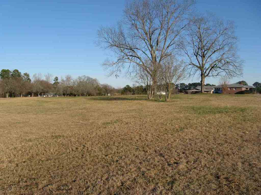Tract A Lowe Road Belton, SC 29627 - Photo 4 of 6