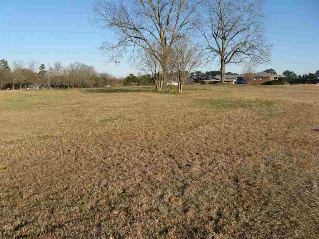 Tract A Lowe Road Belton, SC 29627 - Photo 5 of 6