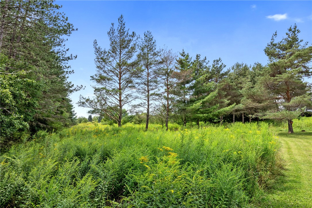 5191 Nipher Road Avoca, NY 14810 - Photo 14 of 50