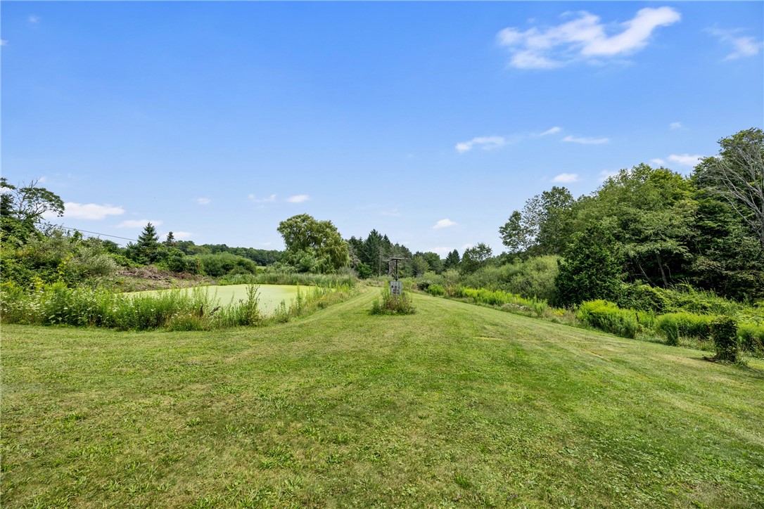 5191 Nipher Road Avoca, NY 14810 - Photo 16 of 50