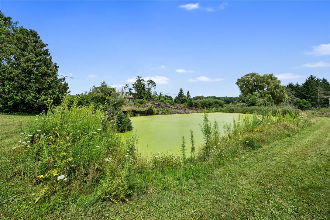 5191 Nipher Road Avoca, NY 14810 - Photo 17 of 50