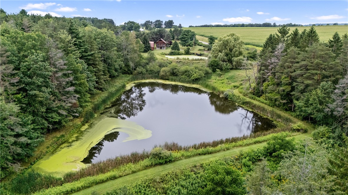 5191 Nipher Road Avoca, NY 14810 - Photo 4 of 50