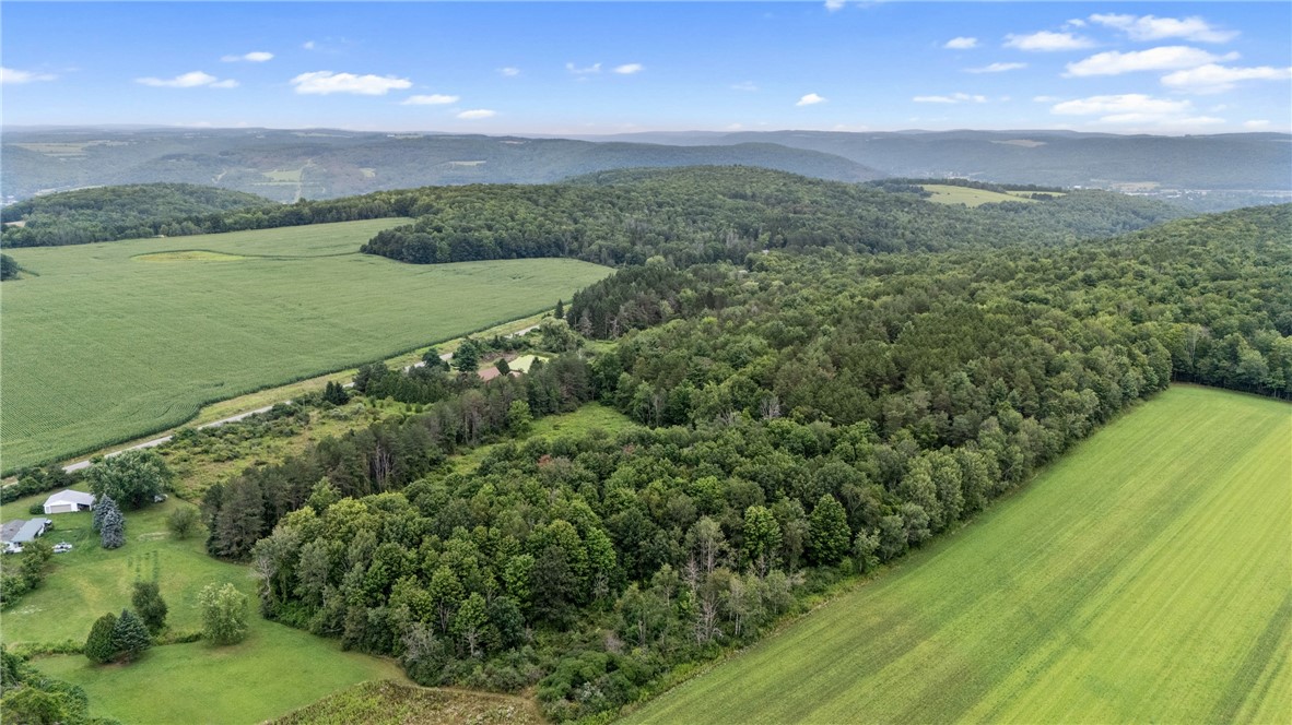 5191 Nipher Road Avoca, NY 14810 - Photo 46 of 50