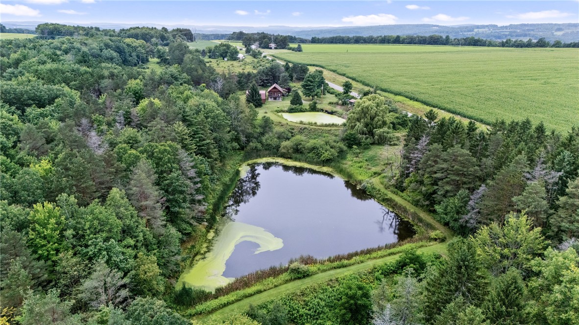 5191 Nipher Road Avoca, NY 14810 - Photo 47 of 50