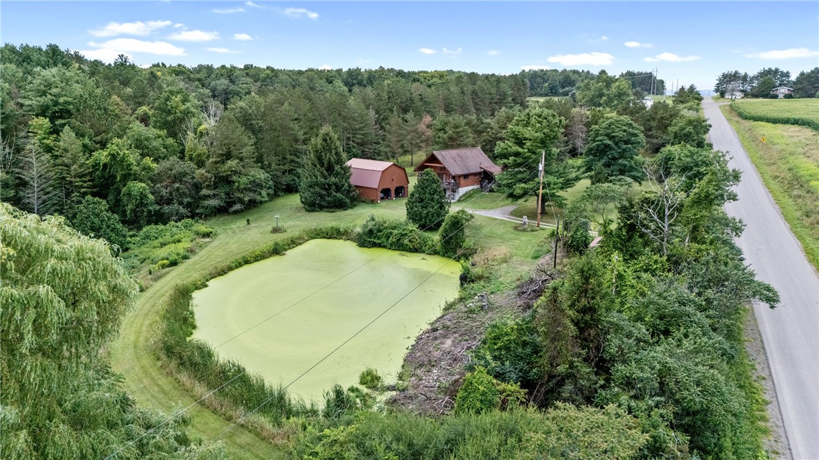 5191 Nipher Road Avoca, NY 14810 - Photo 48 of 50