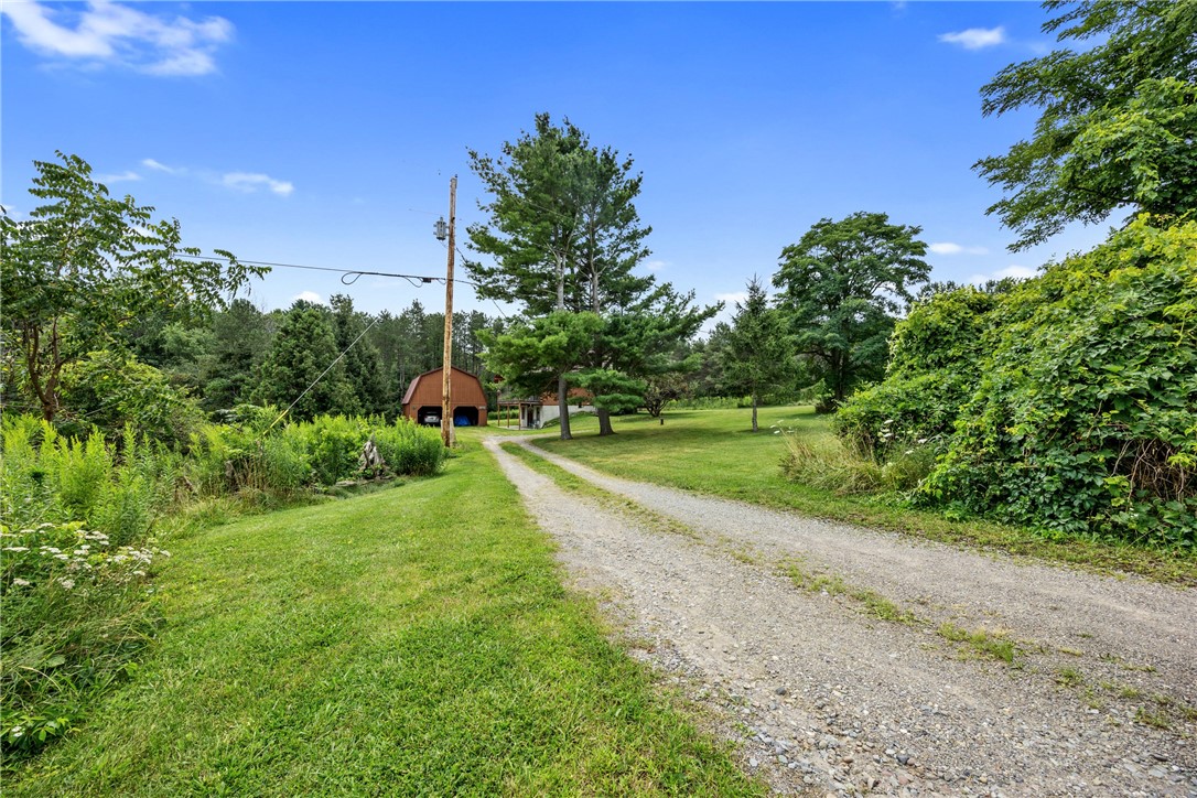 5191 Nipher Road Avoca, NY 14810 - Photo 49 of 50